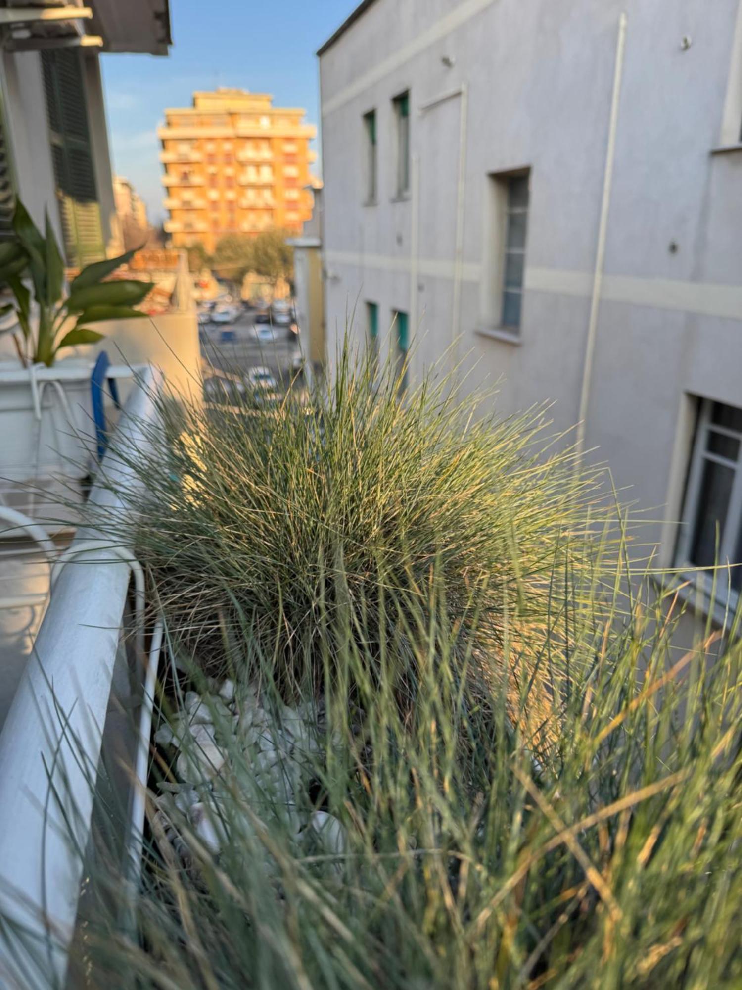 Okra Apartment Pescara Centro Dış mekan fotoğraf